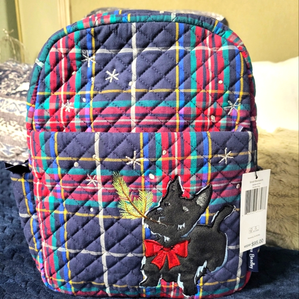 Small backpack